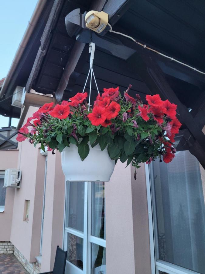 Anda vendégház Harkány Exterior foto