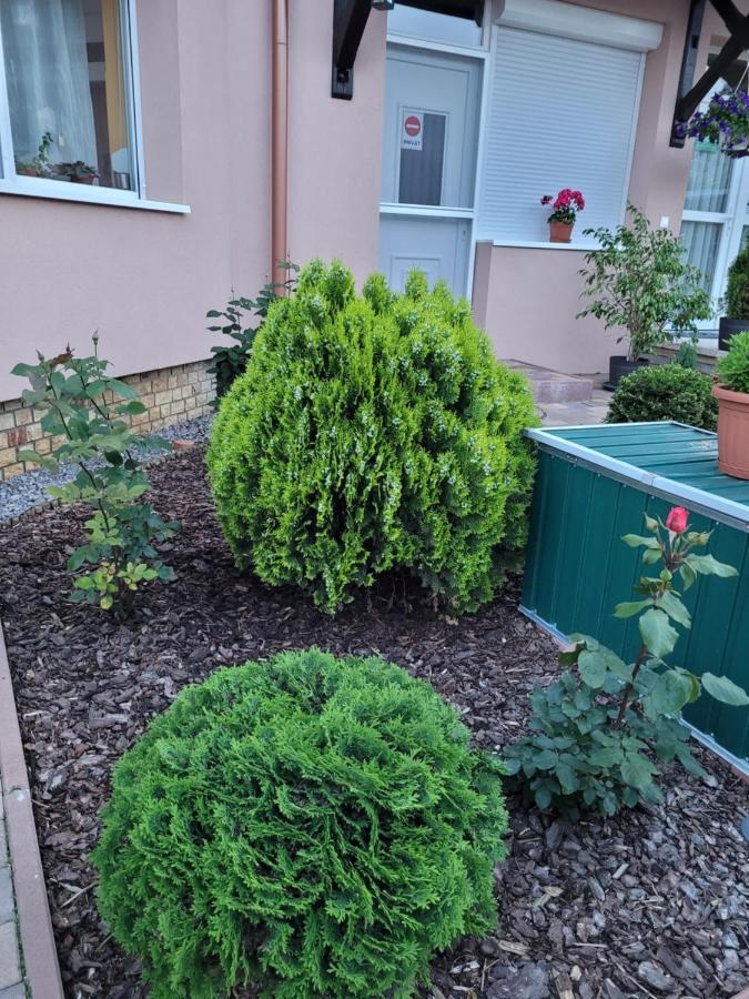 Anda vendégház Harkány Exterior foto