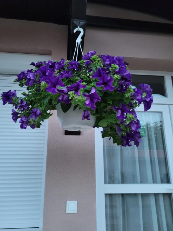 Anda vendégház Harkány Exterior foto